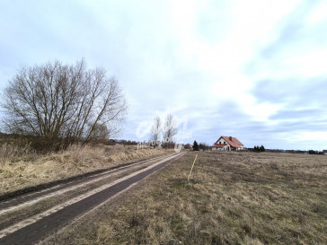 Działka Sprzedaż Czarna Łąka